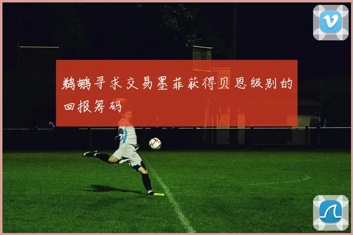鹈鹕寻求交易墨菲获得贝恩级别的回报筹码