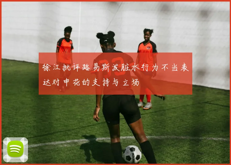 徐江批评路易斯泼脏水行为不当表达对申花的支持与立场